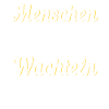 Wachtel