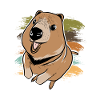 Doux quokka