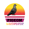 Pigeon Whisperer - colombophile colombophile
