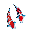 Cape koi koaku sanke