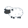 Cute Sheep