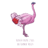 Pink ostrich