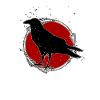 Raven - Crow - Rabe - Krähe