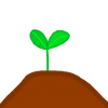 Small plant Natural growing plant