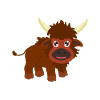 Bison buffalo
