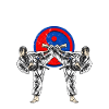 Taekwondo martial arts