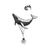 Zero Gravity Sea