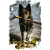 Black German Shepherd Photo