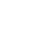 ramoneur
