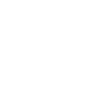 ramoneur