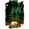Golden Retriever with waterfall