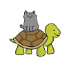 Cat rides turtle cat lover