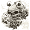 cards pirates
