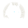 Husky