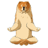 Meditate Chow Chow Dog