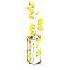 A can of flowers