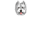 Love West Highland White Terrier Westie Dog