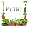 Crazy Plant Lady