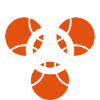 Geometry - Mandala - Sacred Geometry - Festival