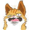 Chat fou