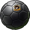 The Wild Guys Football