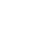 Fuchs in Weiß / Kopf / Portrait
