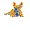Chiot rétro bouledogue français