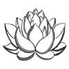 Black Lotus Flower