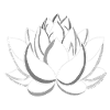 Fleur de lotus blanc