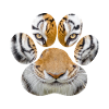 Tiger øje, pot, dyr, kat, gepard, leopard, løve, ge
