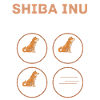 Funny Shiba Inu training