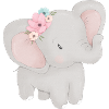 Baby elephant