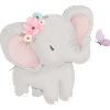 Bébé éléphant