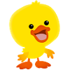 Funny duck