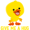 Give me a hug - duckling