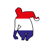 holland player