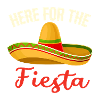 Fiesta Mexico