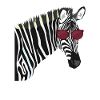zebra