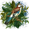 Bunter Vogel