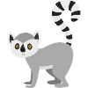 lemur