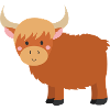 Highland cattle
