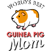 guinea pig
