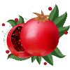 blood-red open pomegranates with leaves