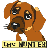 Hunting dog