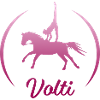 Volti equestrian vaulting by TinaShirts