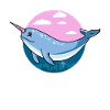 Narval, narval animal, narval narval