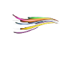 lsd