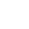 LEO constellation Leo