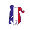 Shadow player france