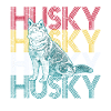 husky